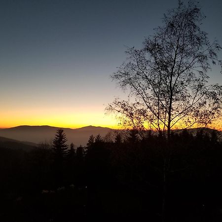 Mountain Cabin Pcim Bagian luar foto